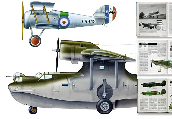 Grafik Catalina